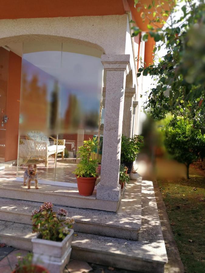 Despertar Con El Sonido De Los Pajaros Melide Exterior foto